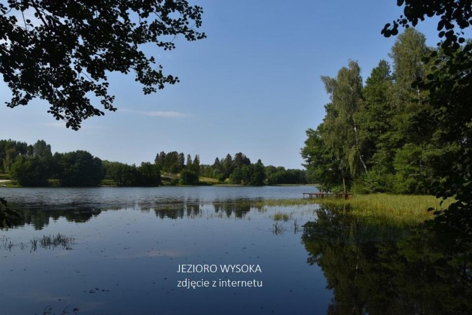 Luksusowy- Nowoczesny Dom W Lesie Villa Kowalewo Exterior foto